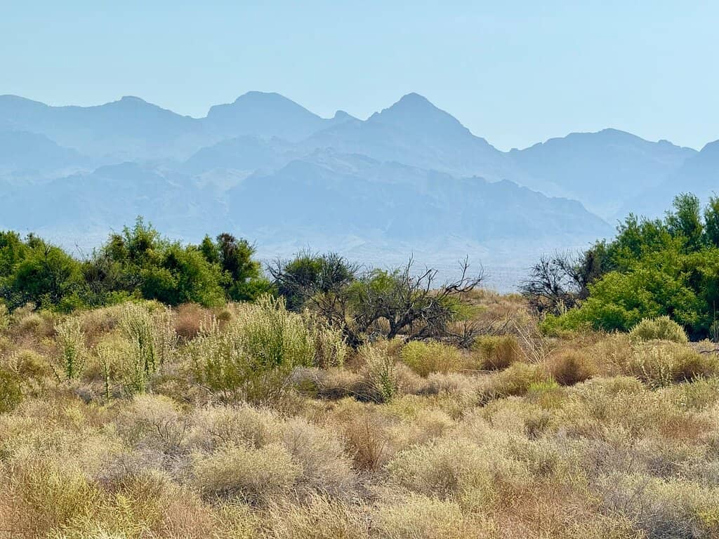 Scenic Desert Drives