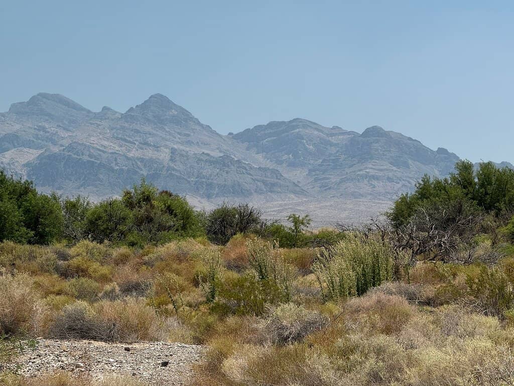 Corn Creek Desert National Wildlife Refuge