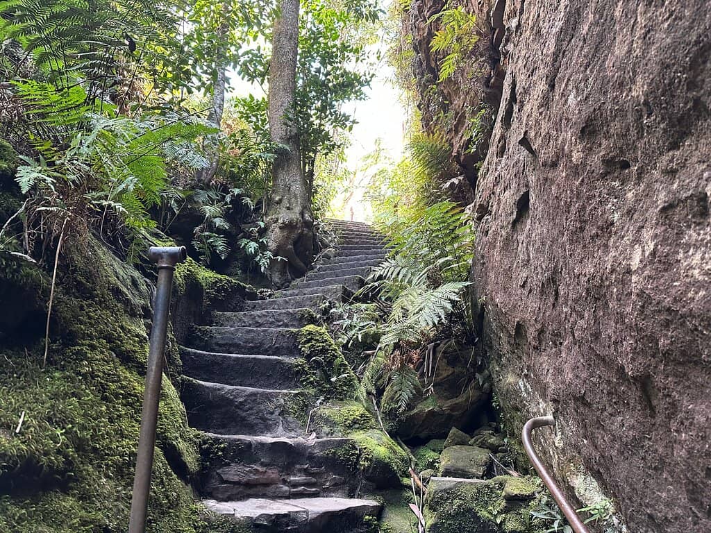 Grand Canyon Skywalk Thrill