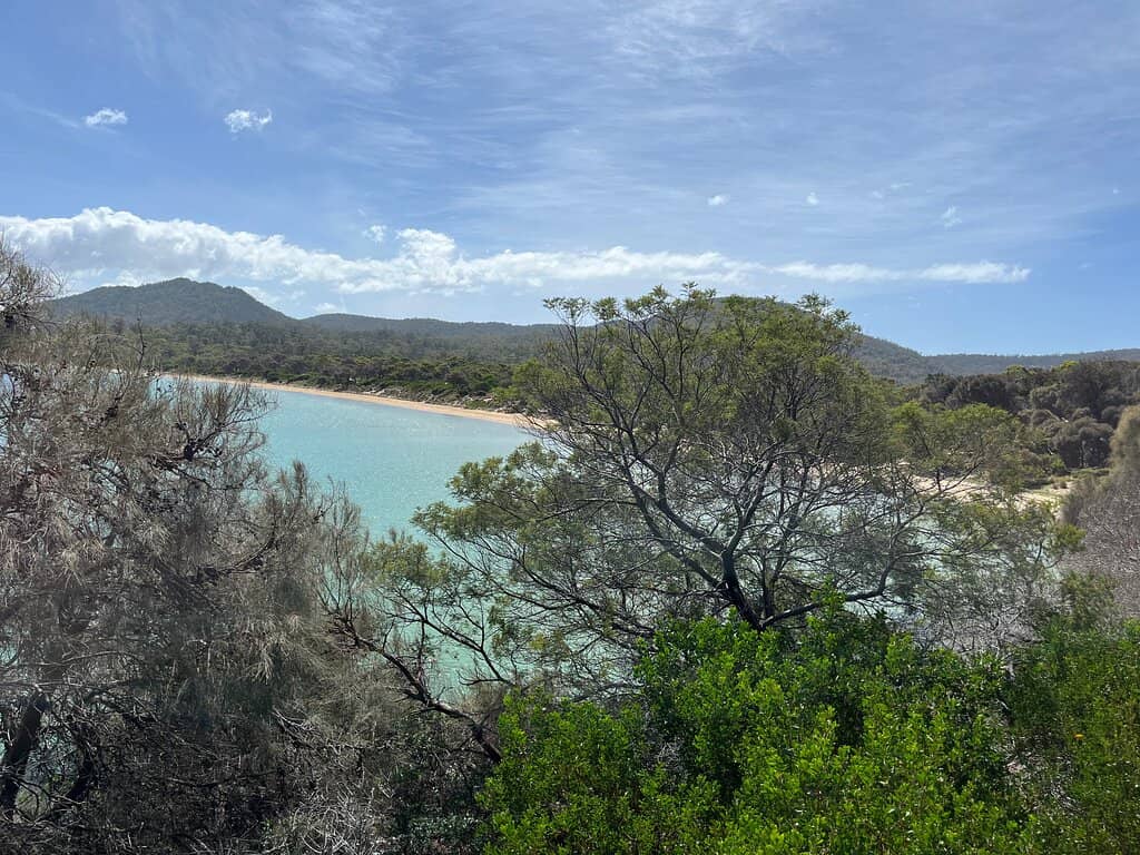 Tidal Pool Exploration
