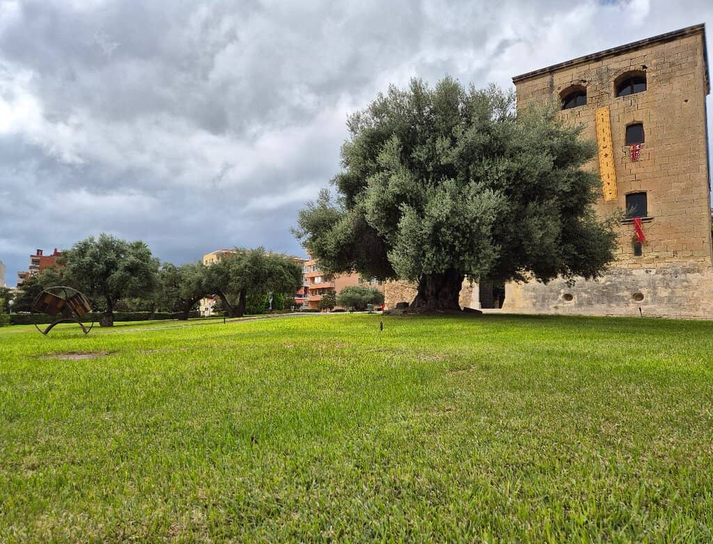 Luxury Finca Experience