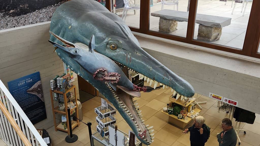 Interactive Displays