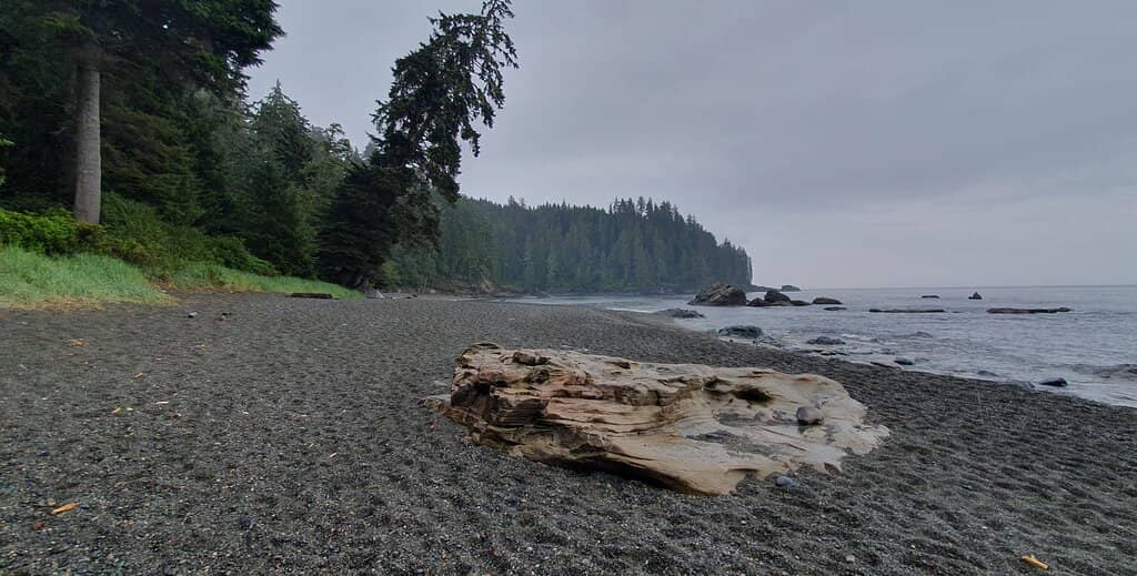 Secluded Beach Exploration