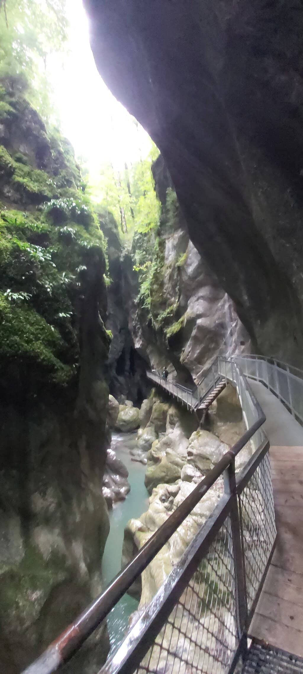 Informative Guided Tours