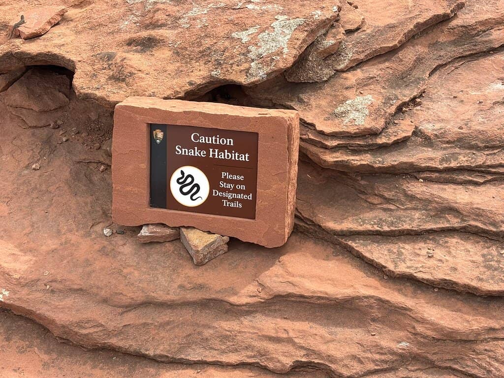 The Blowhole