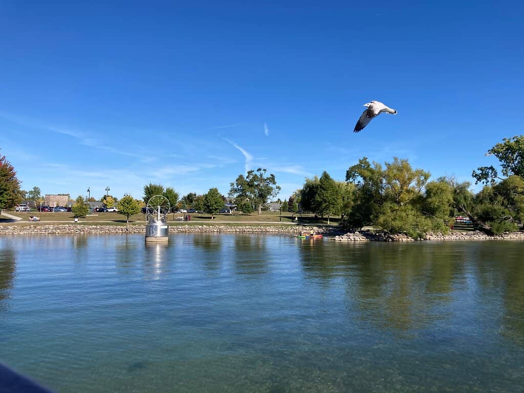 Narrated Sightseeing Tours