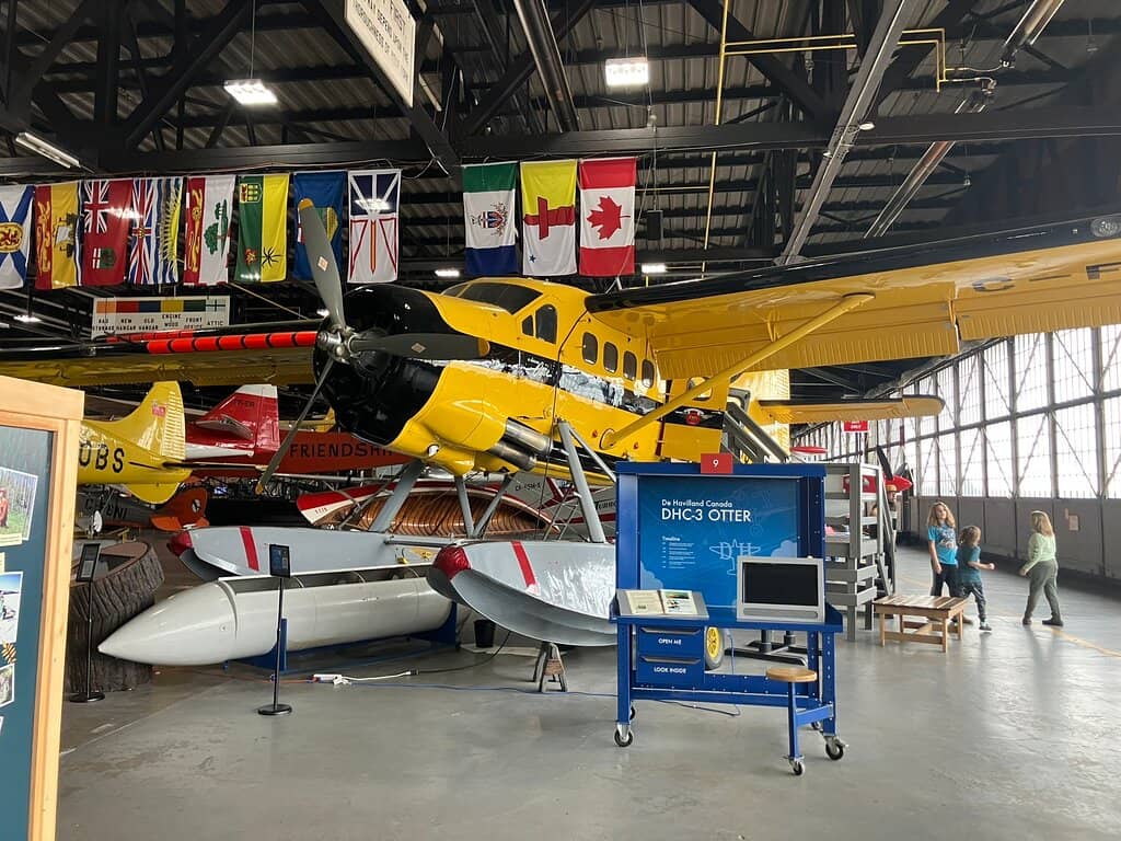 Flight Simulator Experience