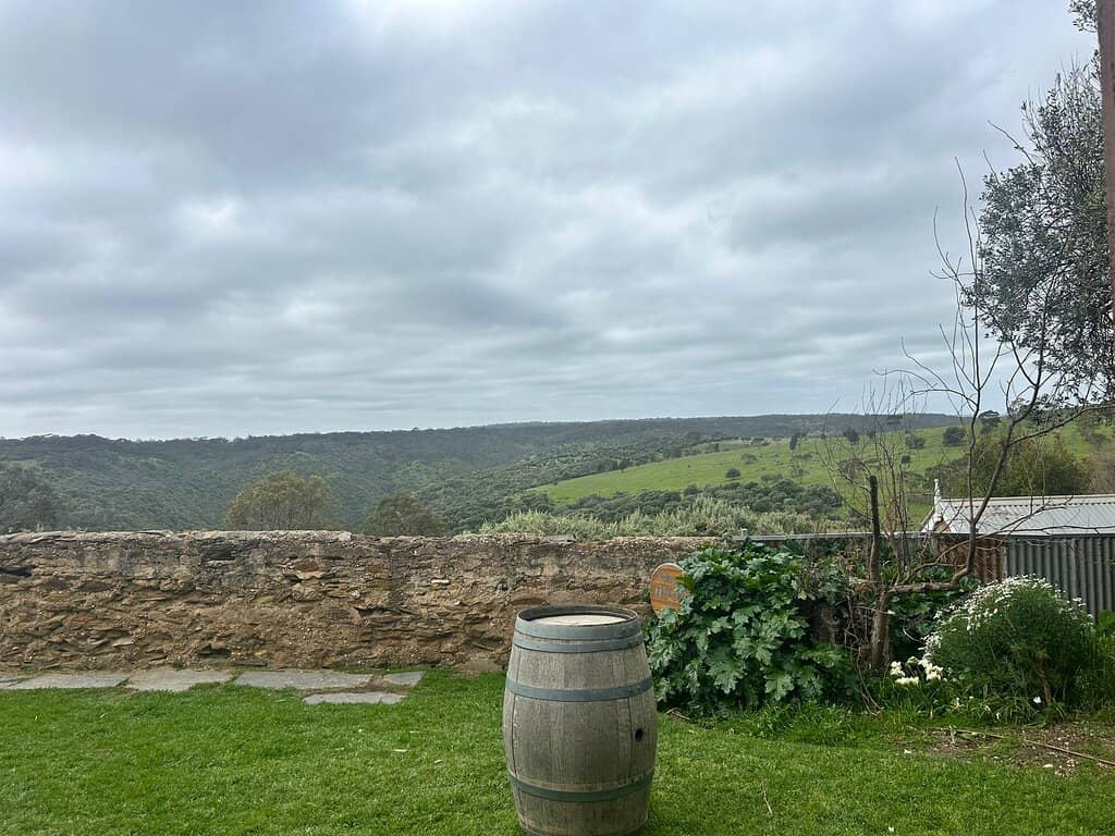 Signature Grenache