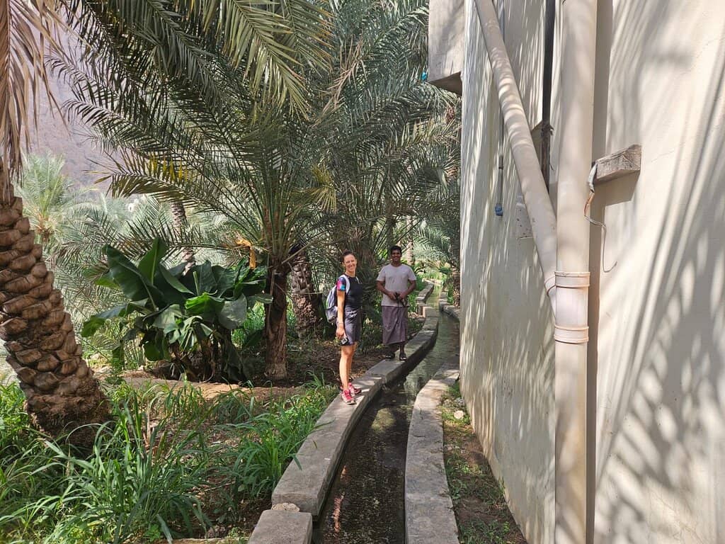 Canyon Oasis Drive