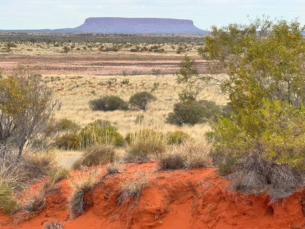Desert Flora and Fauna
