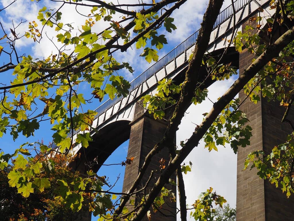 Vertical photo