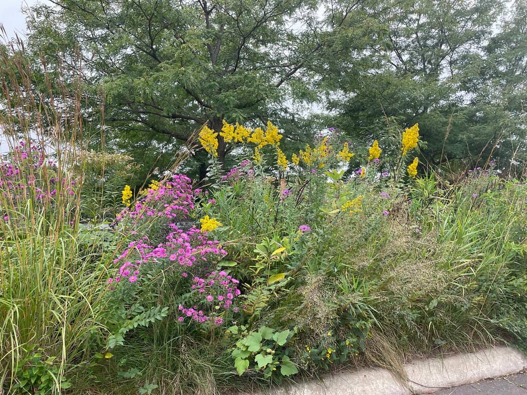 Áras an Uachtaráin