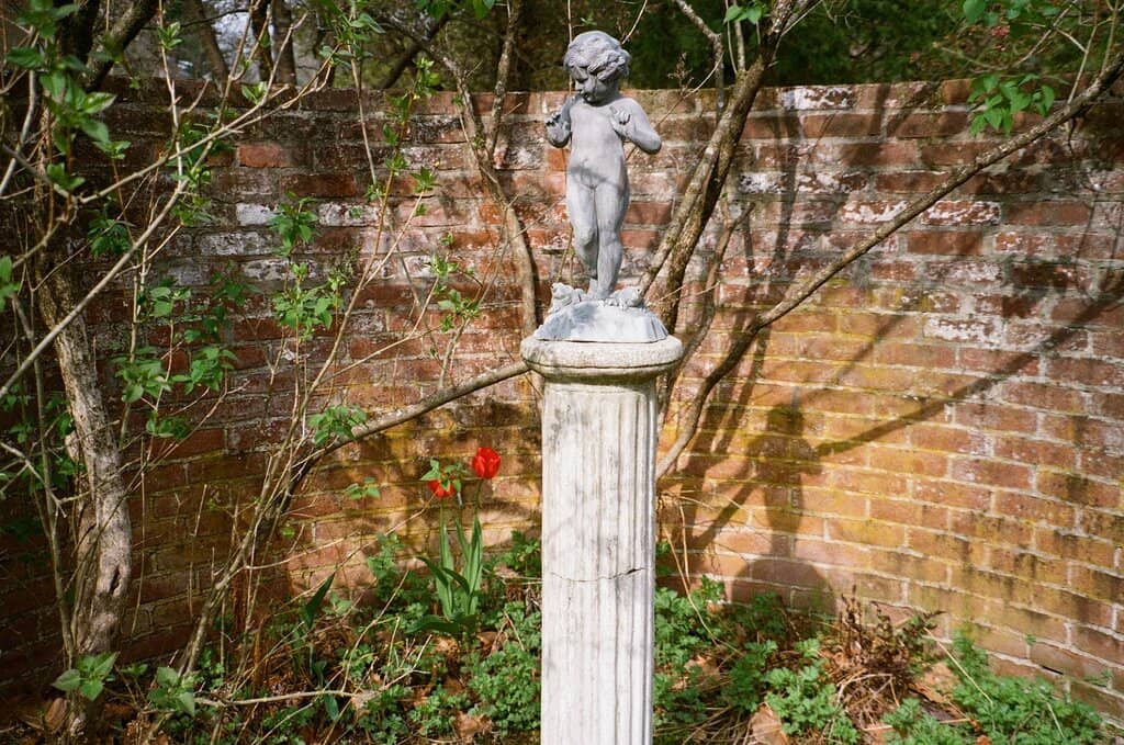 The Gardens