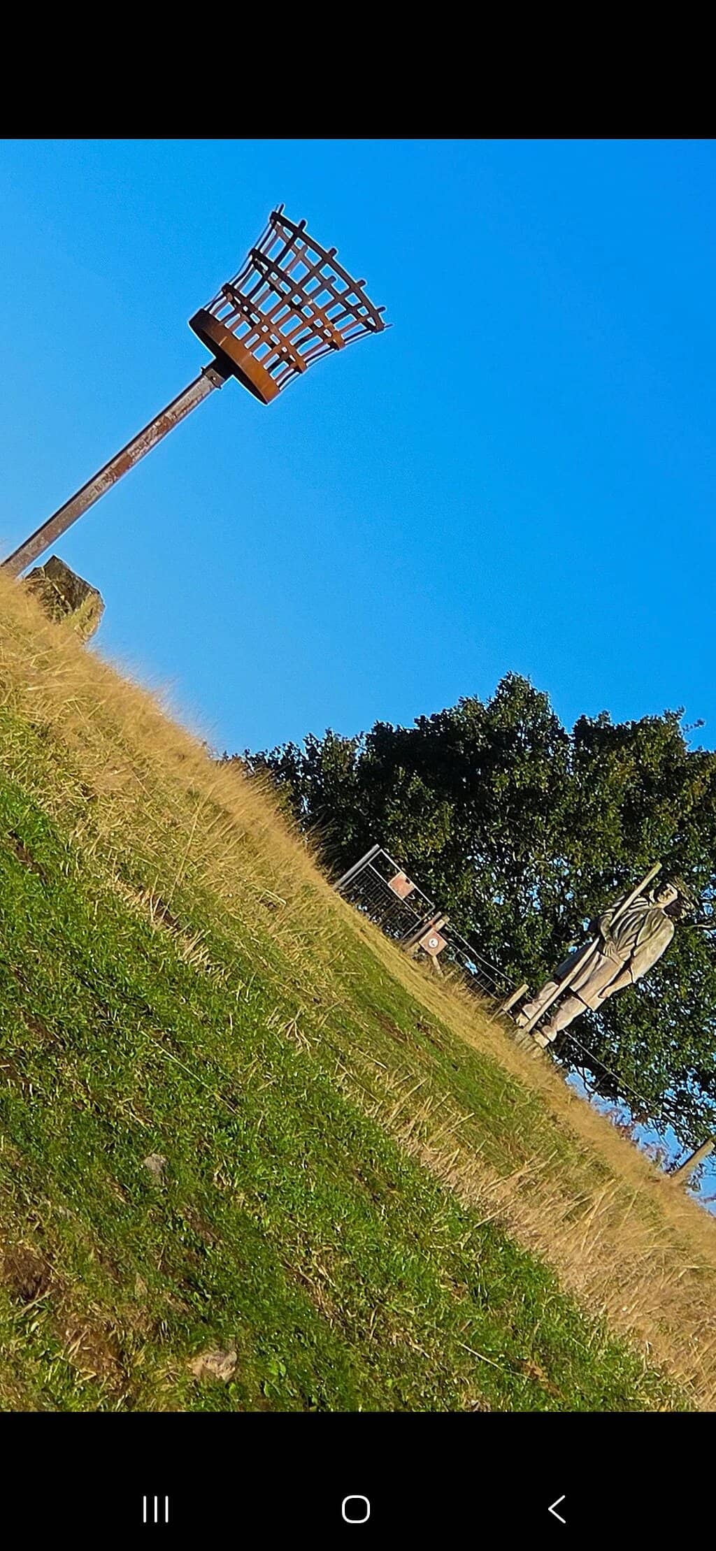 Highland Cows & Other Animals