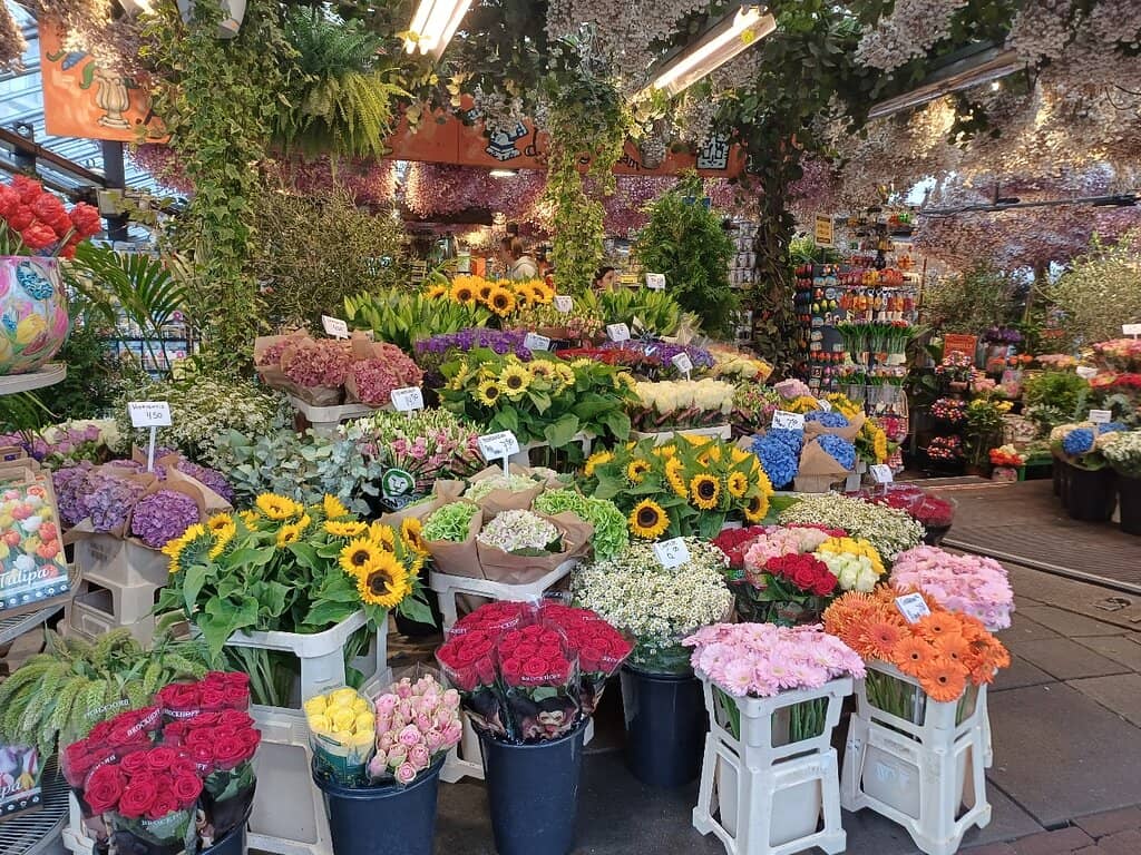 Vibrant Flower Displays