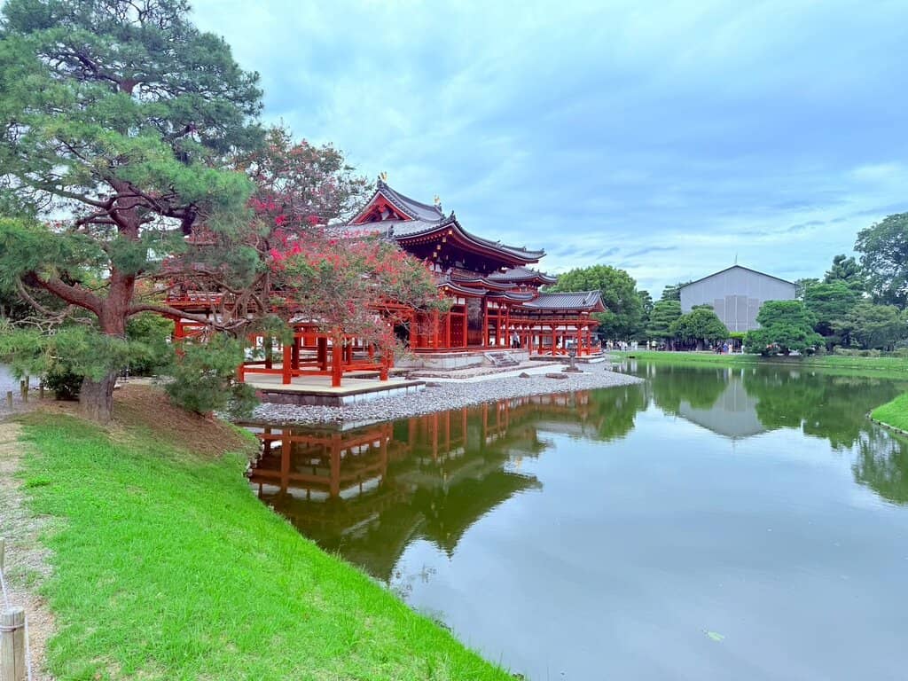 Koi Pond & Wildlife