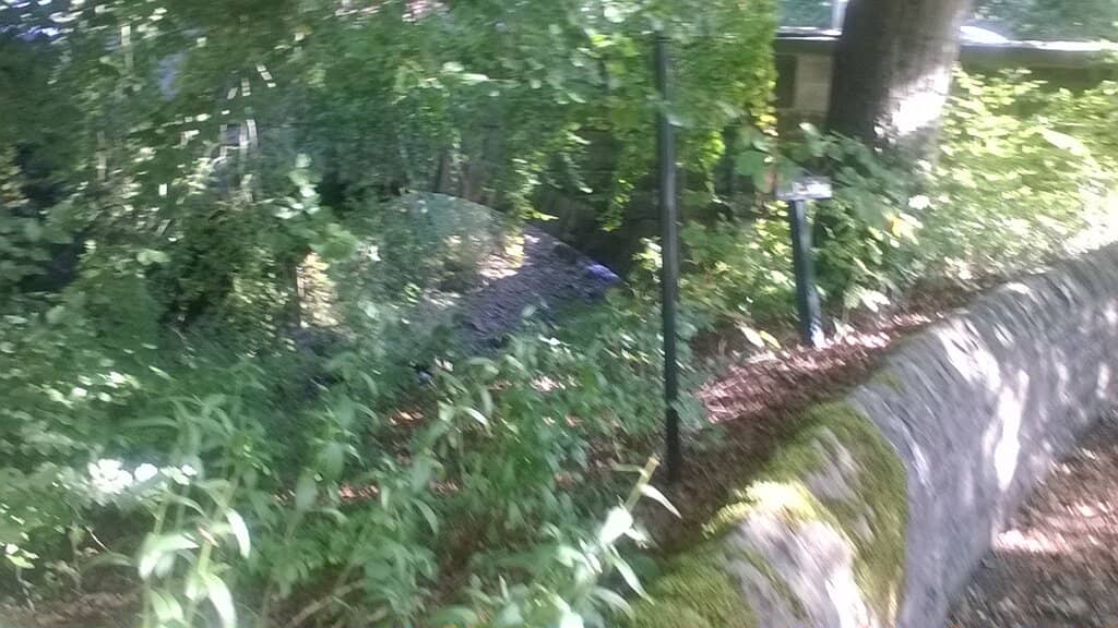 Fairy Walk