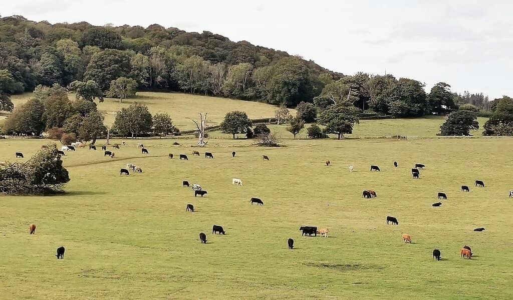 The Unfinished Masterpiece