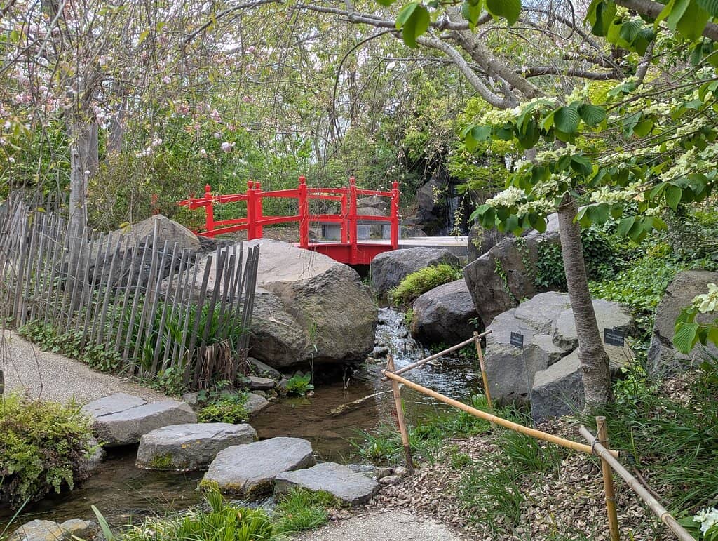 Peaceful Green Escape