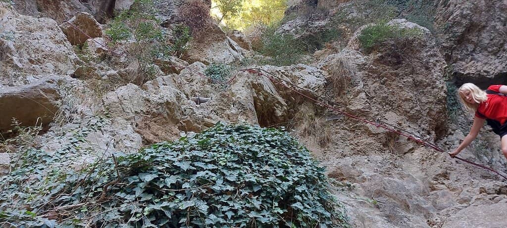 Vertical photo