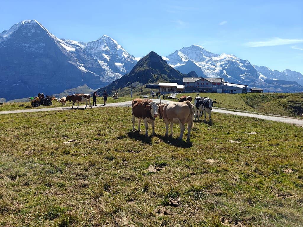 Panorama Trail to Kleine Scheidegg