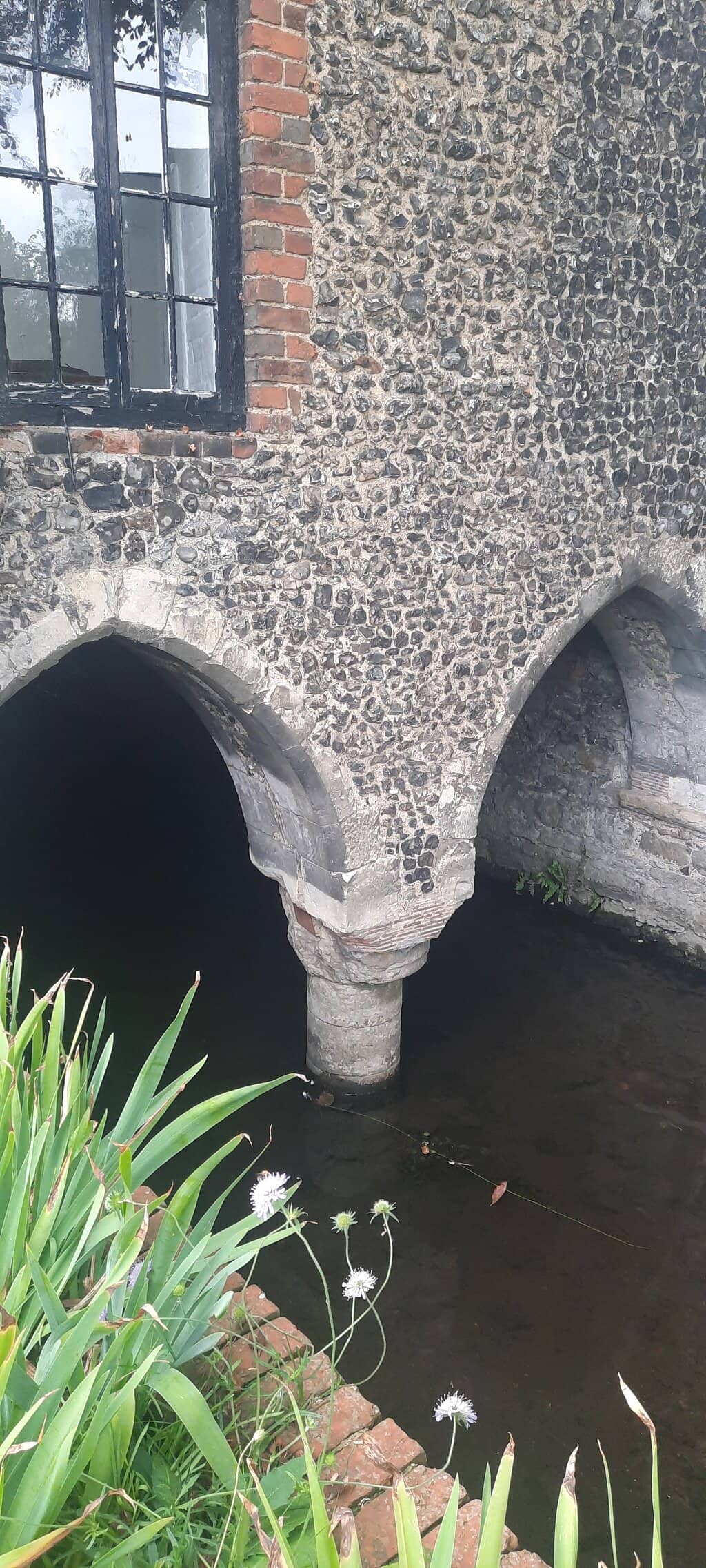 Peaceful Rose Gardens