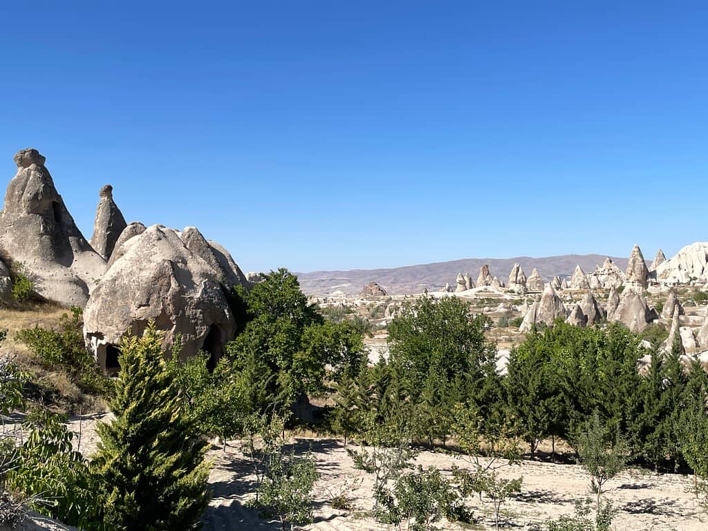 Photography Opportunities