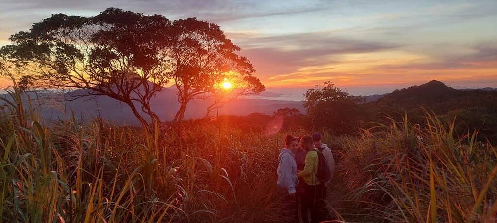 Easy Trekking Path
