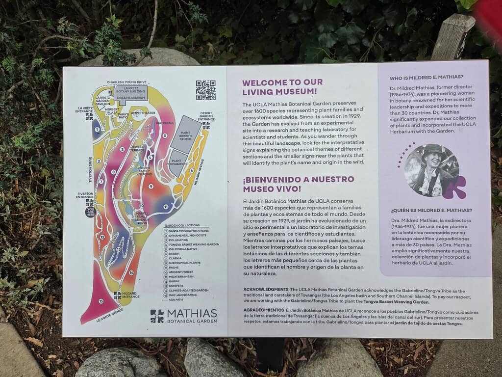 Diverse Plant Collections