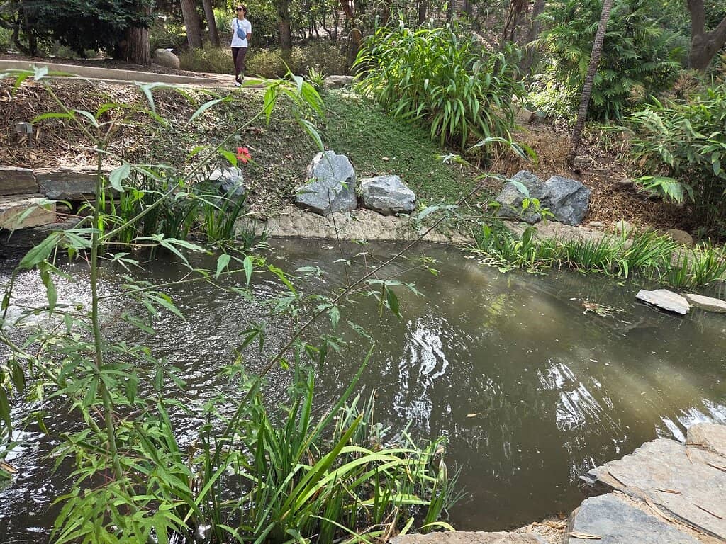 Shady Trails & Waterfalls