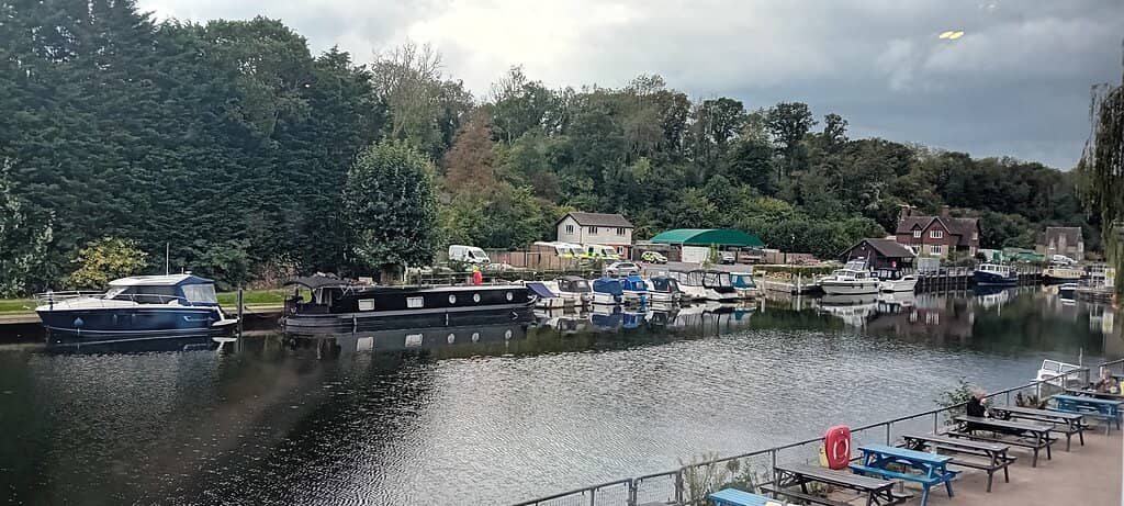 Chef-Recommended Steaks