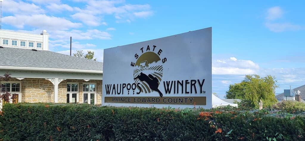 Wine Tasting Flight