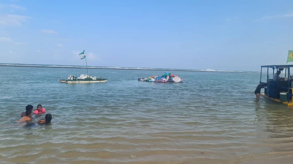 The Natural Pool