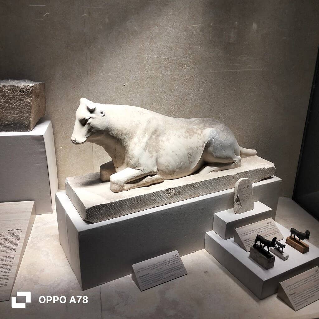 Unique Animal Hall