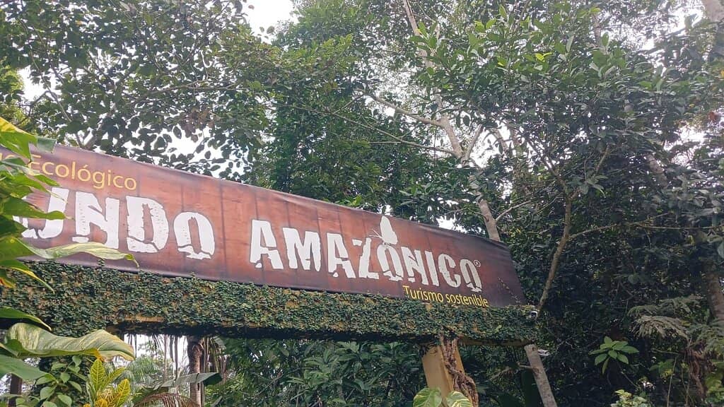 Traditional Activities