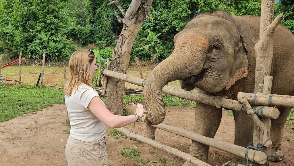 Walking with Gentle Giants
