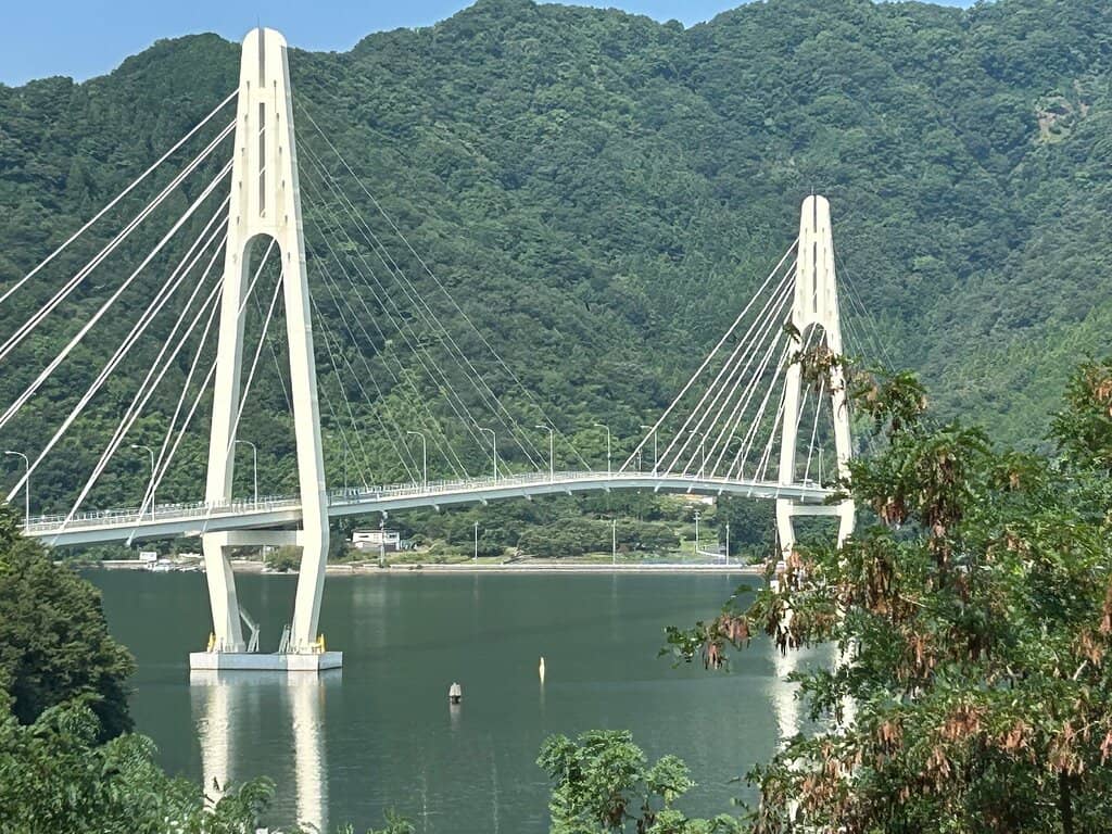 Nighttime Illumination