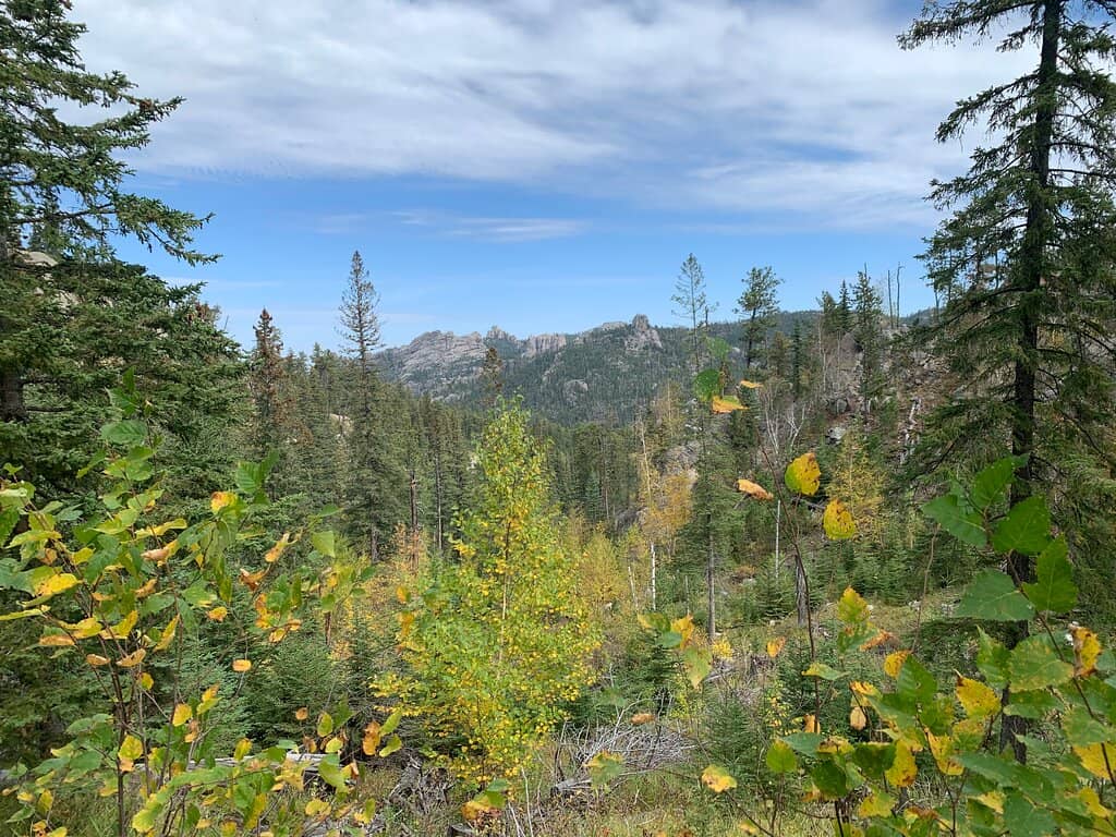 Fairy Dust Forest