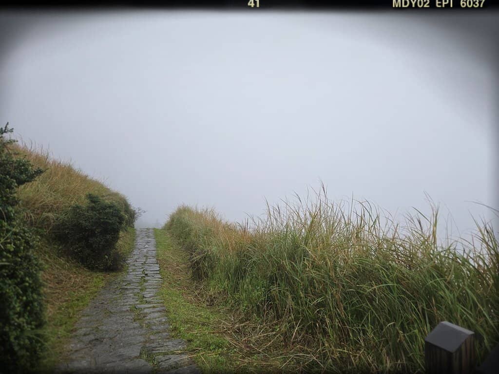 Vertical photo