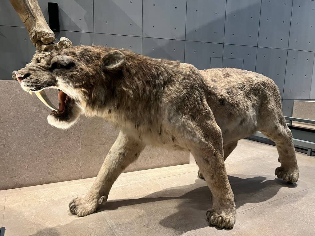 Jing'an Sculpture Garden