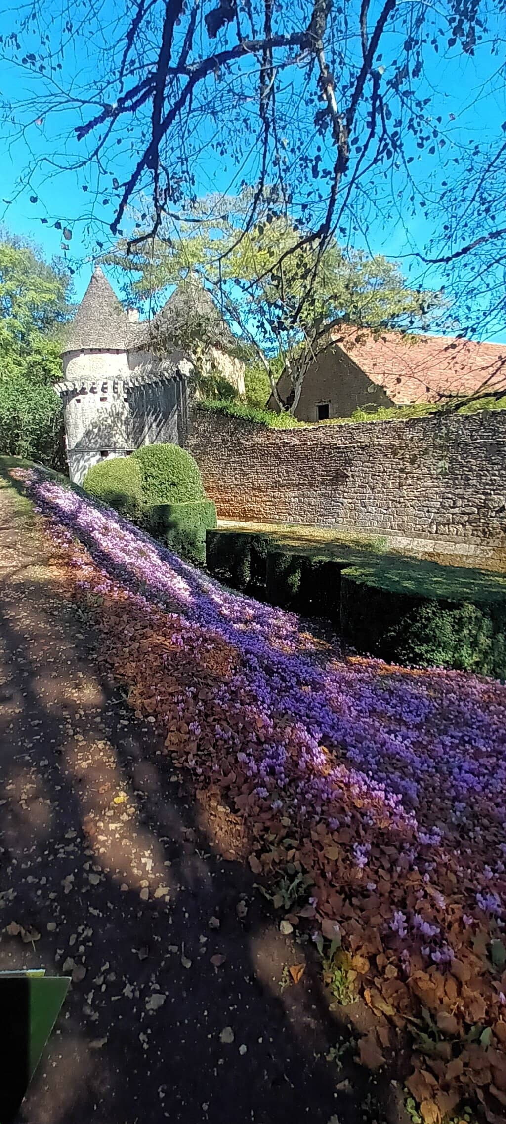 Riverside Setting
