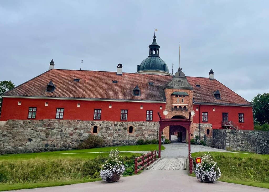 The Infamous Taxidermied Lion