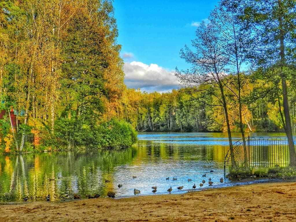 Children's Play Area