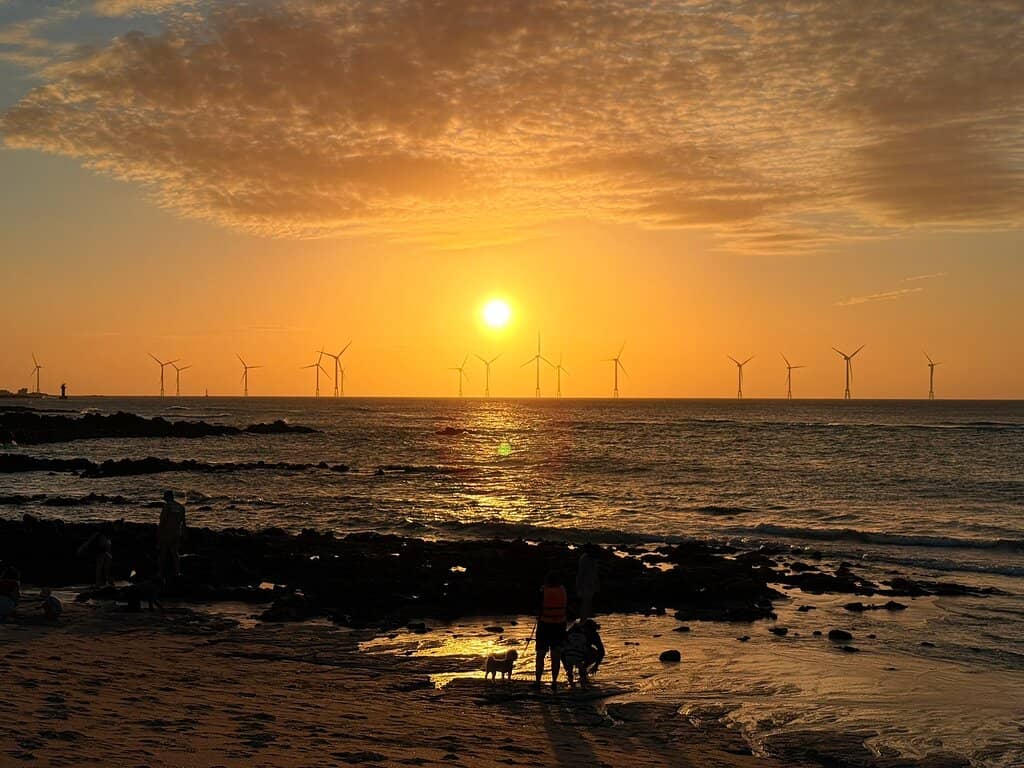 Expansive White Sands