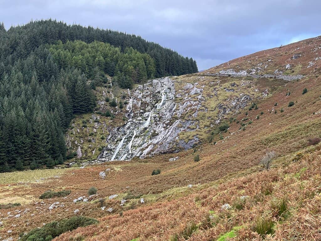 Ballinastoe Woods