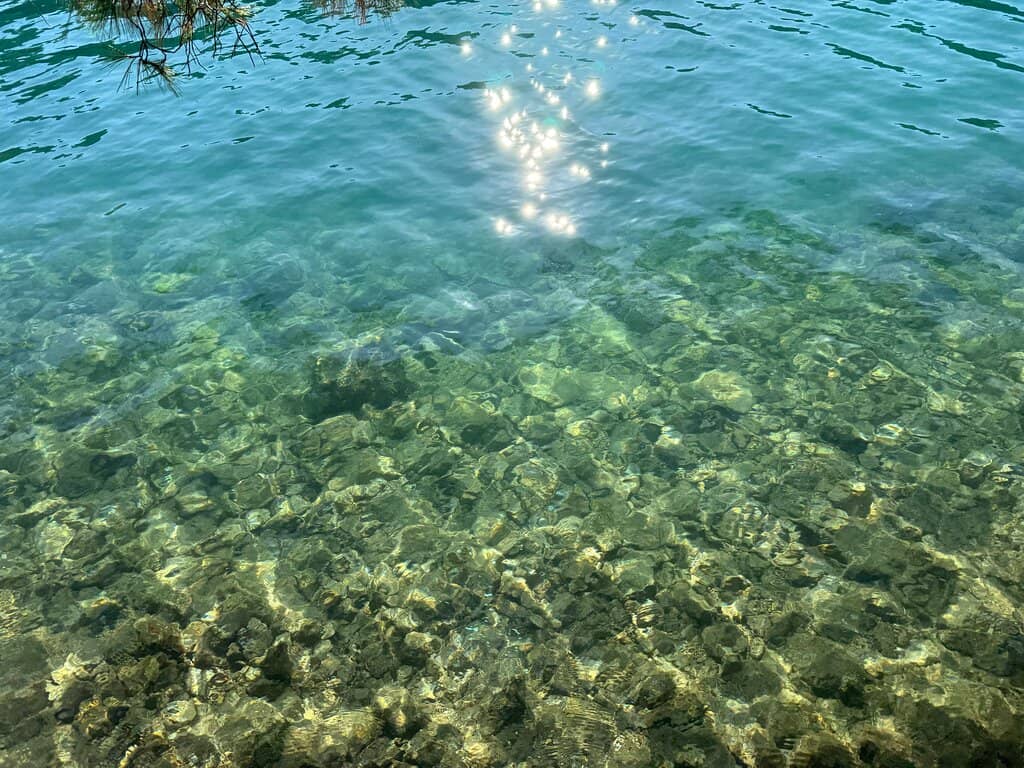 Vertical photo