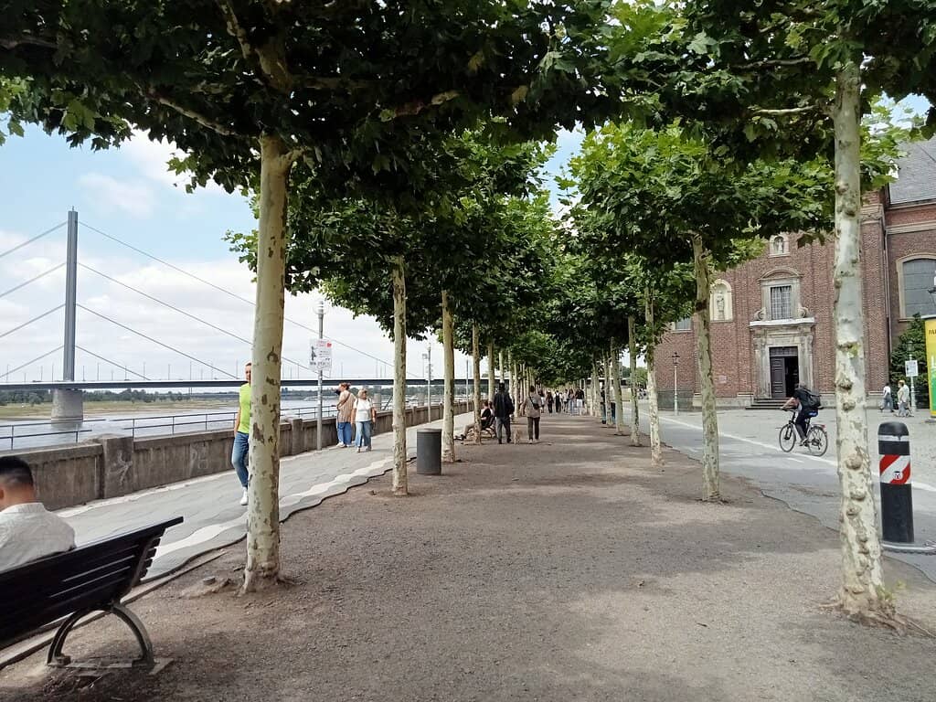 Rheinuferpromenade Stroll