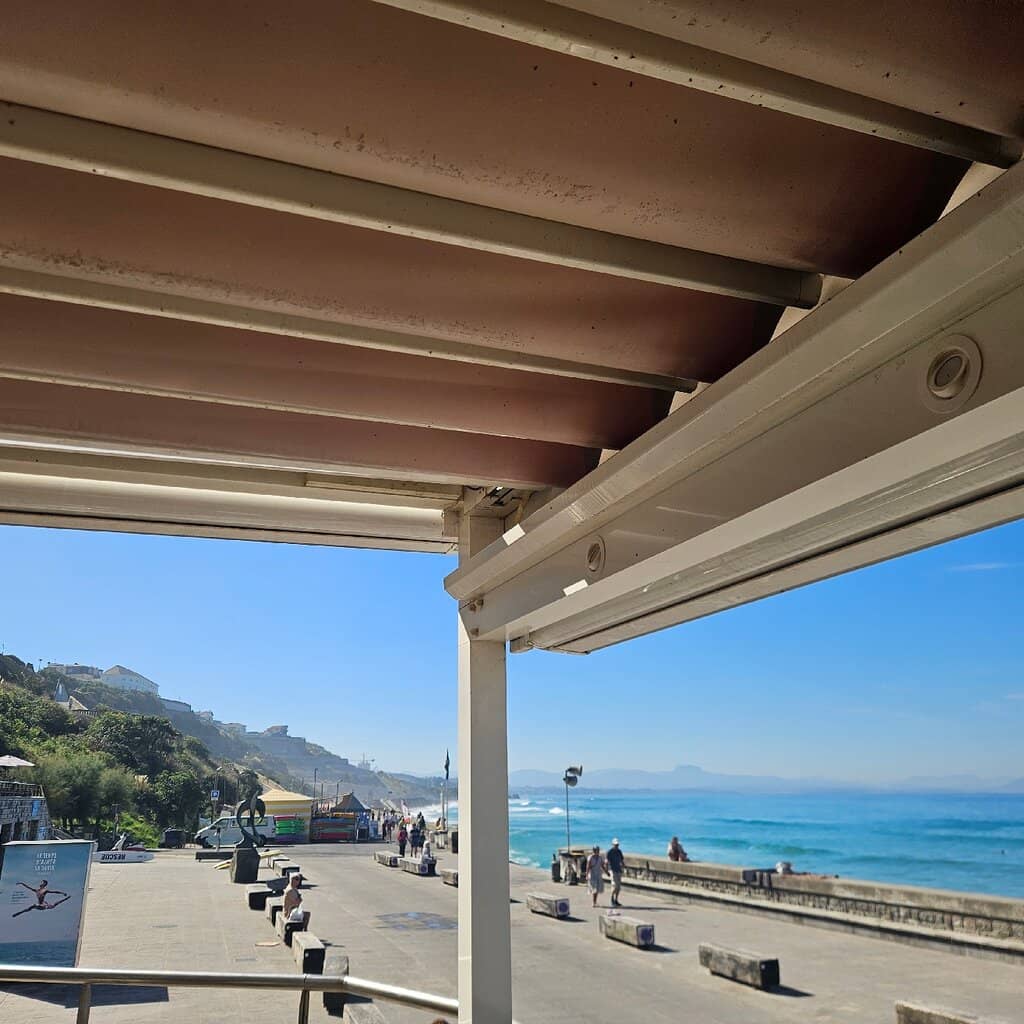 Signature Burgers & Fish & Chips