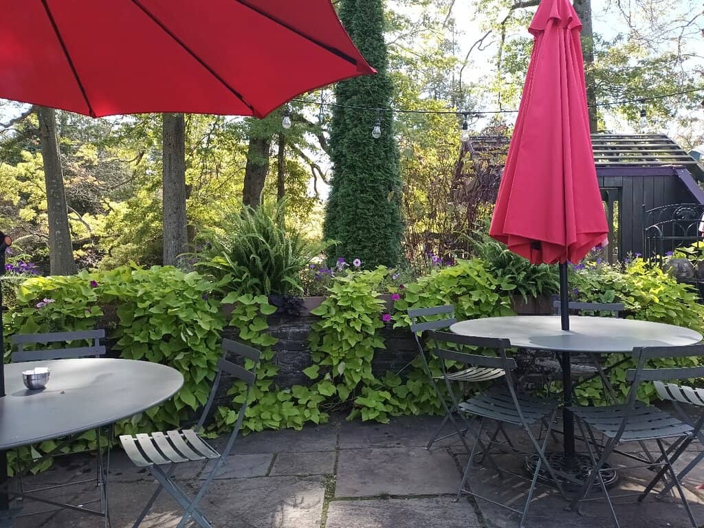 Flavorful Brunch & Great Coffee