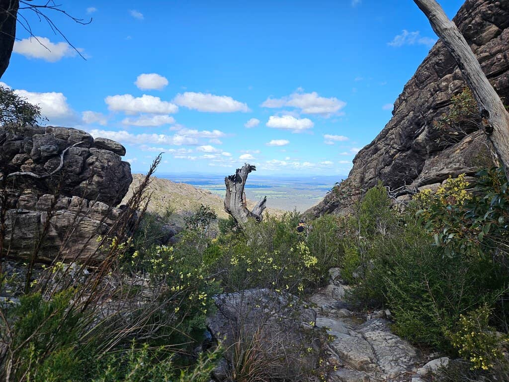 Mount Abrupt Summit